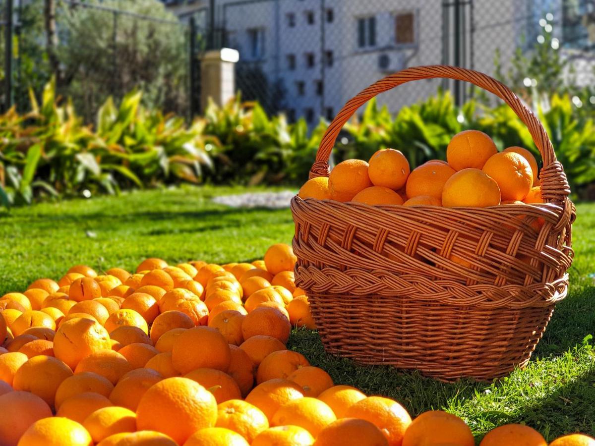 Ambience Dubrovnik Lejlighed Eksteriør billede